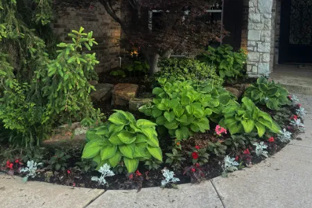 Garden Bed Installations